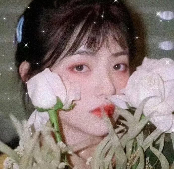 风汐志